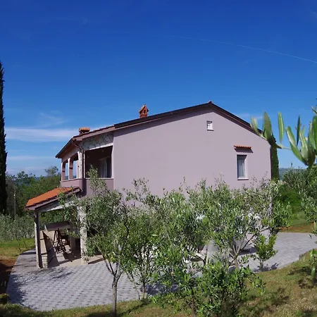 Apartment Spacious In With Garden
