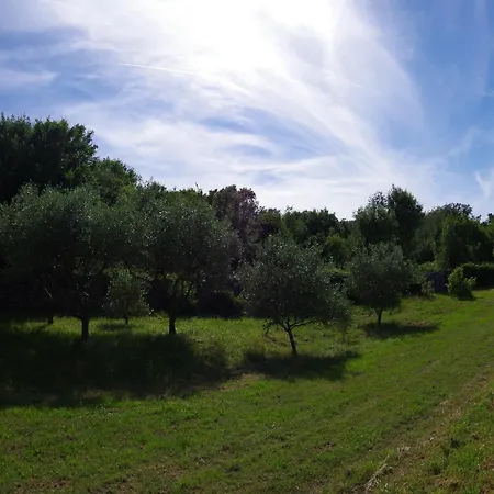 Spacious In With Garden * Rakalj