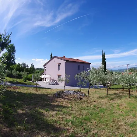 Apartment Spacious In With Garden