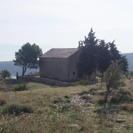 Spacious In With Garden Apartment