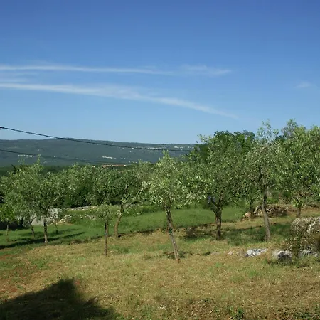 Apartment Spacious In With Garden Rakalj
